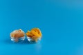 Dried fruits in assortment in glass cups on a blue background. The concept of a healthy lifestyle