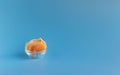 Dried fruits in assortment in glass cups on a blue background. The concept of a healthy lifestyle