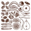 Dried fruits and berries collection. Hand drawn dehydrated fruits sketches of dried mango, melon, fig, apricot, banana, persimmon Royalty Free Stock Photo