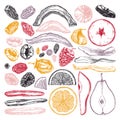 Dried fruits and berries collection. Hand drawn dehydrated fruits sketches of dried mango, melon, fig, apricot, banana, persimmon Royalty Free Stock Photo