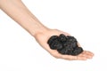 Dried fruits and cooking theme: man's hand holding a black Dried prunes isolated on a white background in studio Royalty Free Stock Photo