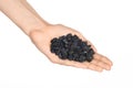 Dried fruits and cooking theme: man's hand holding a black dry raisins isolated on a white background in studio Royalty Free Stock Photo