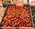 Dried fruits of Gardenia jasminoides or Fructus gardenia or Cape jasmine or Zhi zi shan or Chija.