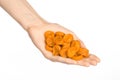 Dried fruits and meal preparation topic: human hand holding an orange dried apricots isolated on white background in studio Royalty Free Stock Photo