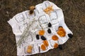 Dried fruits, nuts and wine cork on a white napkin