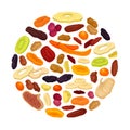 Dried Fruits Round Composition Design with Healthy Sweet Snack Vector Template