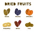 Dried fruits, silhouette icons set. Raisin, prunes, apricot, fig, pineapple, dates. Color hand drawn elements Royalty Free Stock Photo