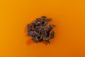 Dried funghi mushrooms isolated on orange background