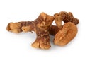 Dried galangal root Royalty Free Stock Photo