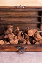 Dried galangal root Royalty Free Stock Photo