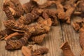 Dried galangal root Royalty Free Stock Photo