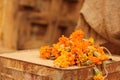 A dried garland of Marigolds