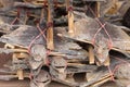 Dried gecko selling for Medical Purposes in Chinese Pharmacy.Traditional in east asia belive that gecko for medicine affects the