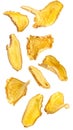 Dried ginger chips falling on transparent background Royalty Free Stock Photo