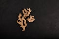 Dried ginger root on dark background with copy space. Ginger used as spice and folk medicine Royalty Free Stock Photo