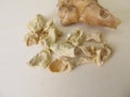 Dried ginger root Royalty Free Stock Photo