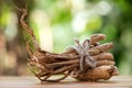 Dried ginseng on nature background