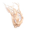 Dried ginseng