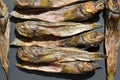 Dried gobies on a black board top view.