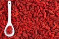 Goji Berries As Organic Red Berry Background Royalty Free Stock Photo