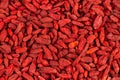 Dried Goji Berries as Background Royalty Free Stock Photo