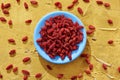 Dried goji berries in a blue plate Royalty Free Stock Photo