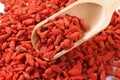 Dried goji berries