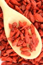 Dried goji berries on a wooden spoon