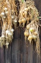 Dried golden onions on brown wooden boards texture Royalty Free Stock Photo