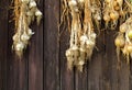 Dried golden onions on brown wooden boards texture Royalty Free Stock Photo