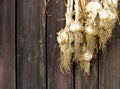 Dried golden onions on brown wooden boards texture Royalty Free Stock Photo