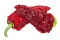 Dried Gorria Espelette short peppers, paths, top view Royalty Free Stock Photo