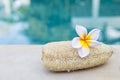 Dried gourd sponge with plumeria flower on swimming pool edge