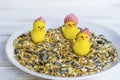 Dried Grains Bird Food with Black Sunflower Seeds and Yellow Chickens Royalty Free Stock Photo