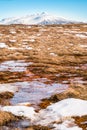 The dried grass field or pile of hay in the snow covered forest