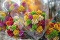 Dried grass flowers in the colorful shade