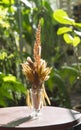 dried grass flowers in vase on the table Royalty Free Stock Photo