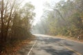 Dried grasses and trees burning on roadside create a lot of smoke. Environmental problems that occur during the dry season.