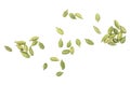 Dried green cardamom seeds isolated on white background, top view Royalty Free Stock Photo