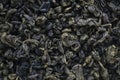 Dried green tea big leaves background. View from top. Closeup sh Royalty Free Stock Photo