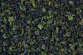 Dried green tea leaves texture close up top view Royalty Free Stock Photo