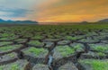 Dried Ground with green grass texture during sunset Royalty Free Stock Photo