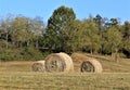 Dried Hay Bales in a Field