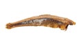 Dried headless anchovy fish isolated on white