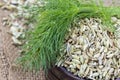 Dried herb, fennel seeds isolated, top view Royalty Free Stock Photo