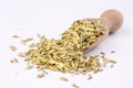 Dried herb, fennel seeds isolated, top view Royalty Free Stock Photo