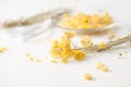 The dried herb Helichrysum on a white table