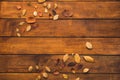 Dried herbarium situating on desk