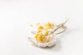 The dried herb Helichrysum on a white table