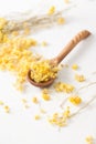 The dried herb Helichrysum on a white table